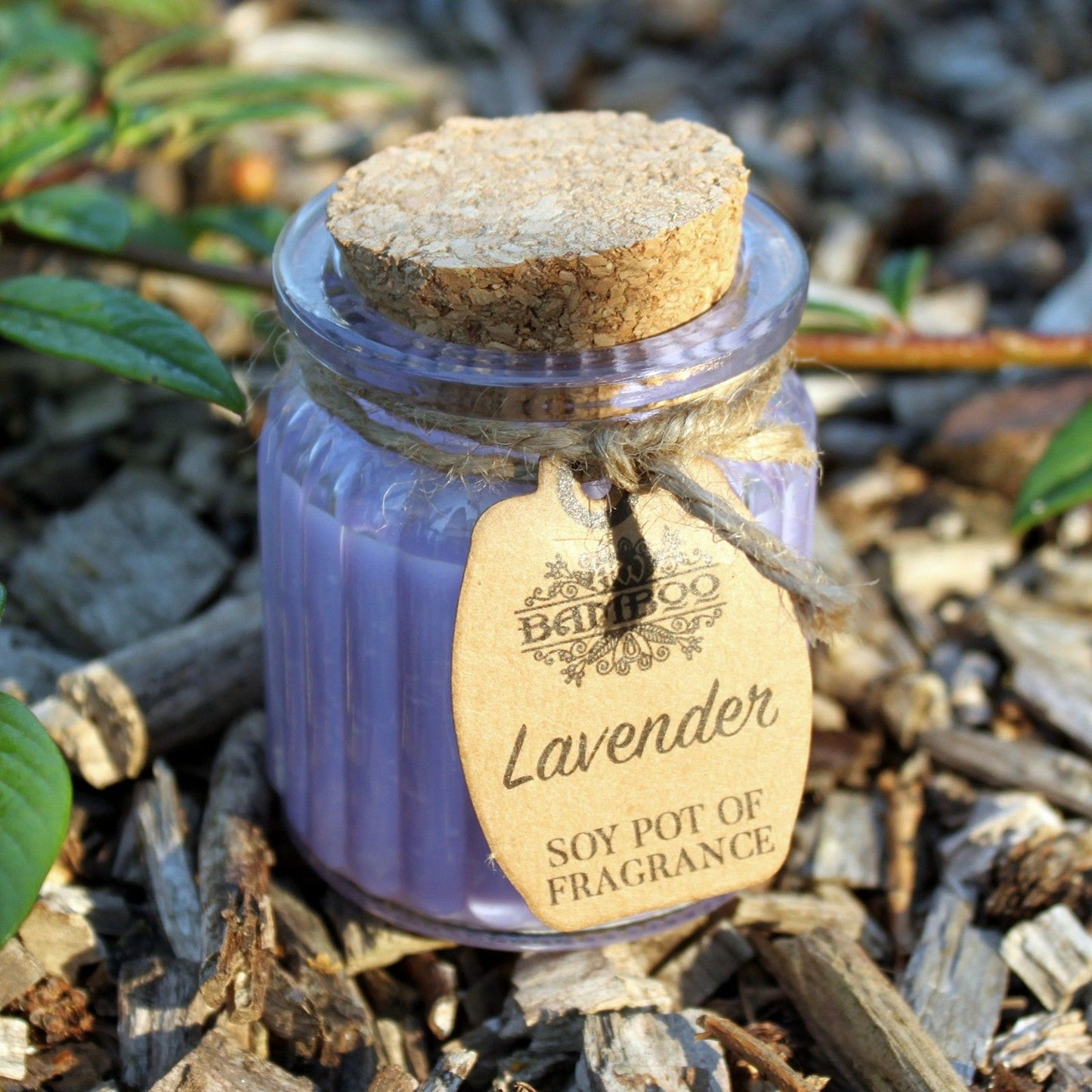 Soy Wax Jar Candle - Lavender