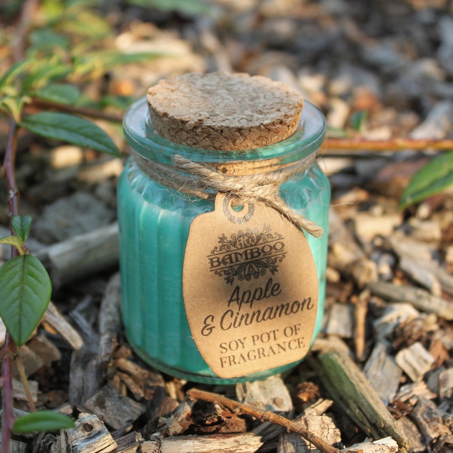 Soy Wax Jar Candle - Apple and Cinnamon