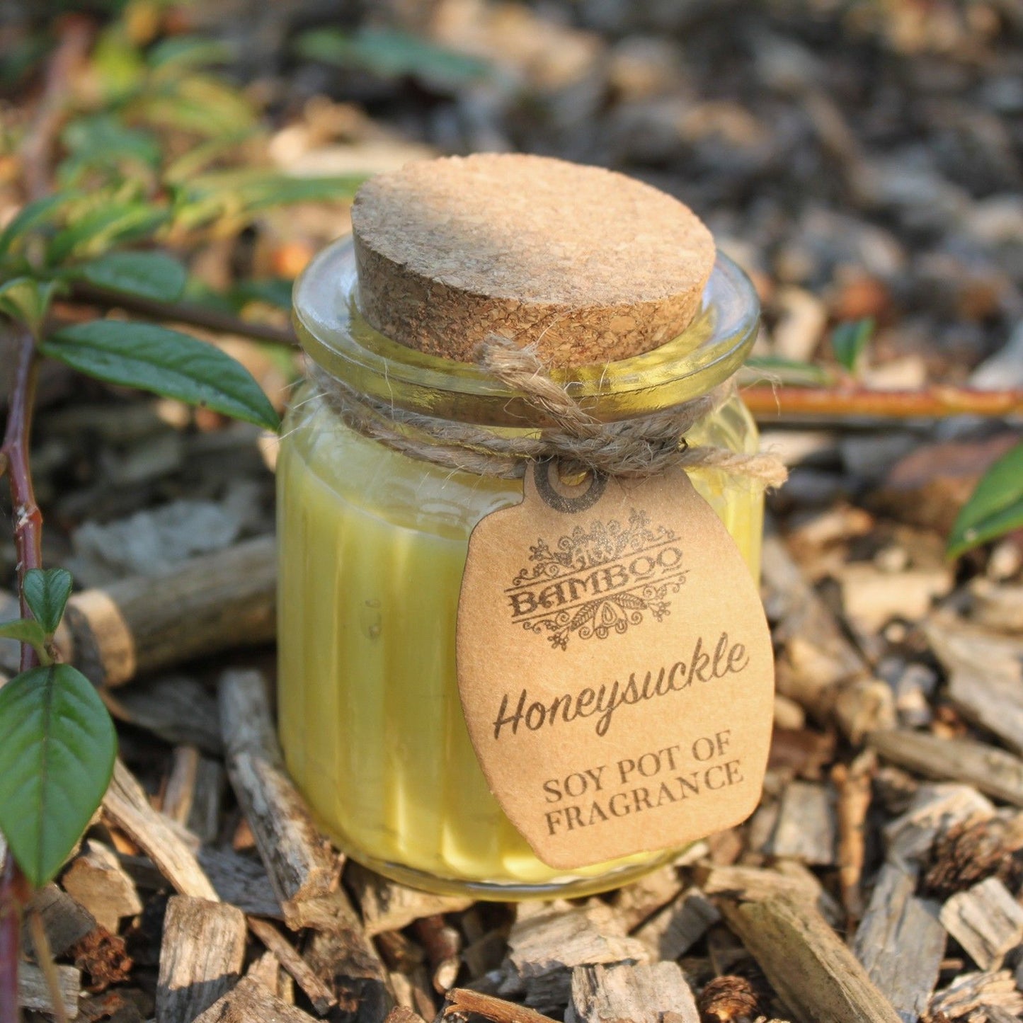 Soy Wax Jar Candle - Honeysuckle
