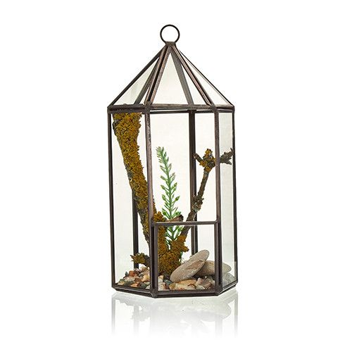 Glass Terrarium - Lantern