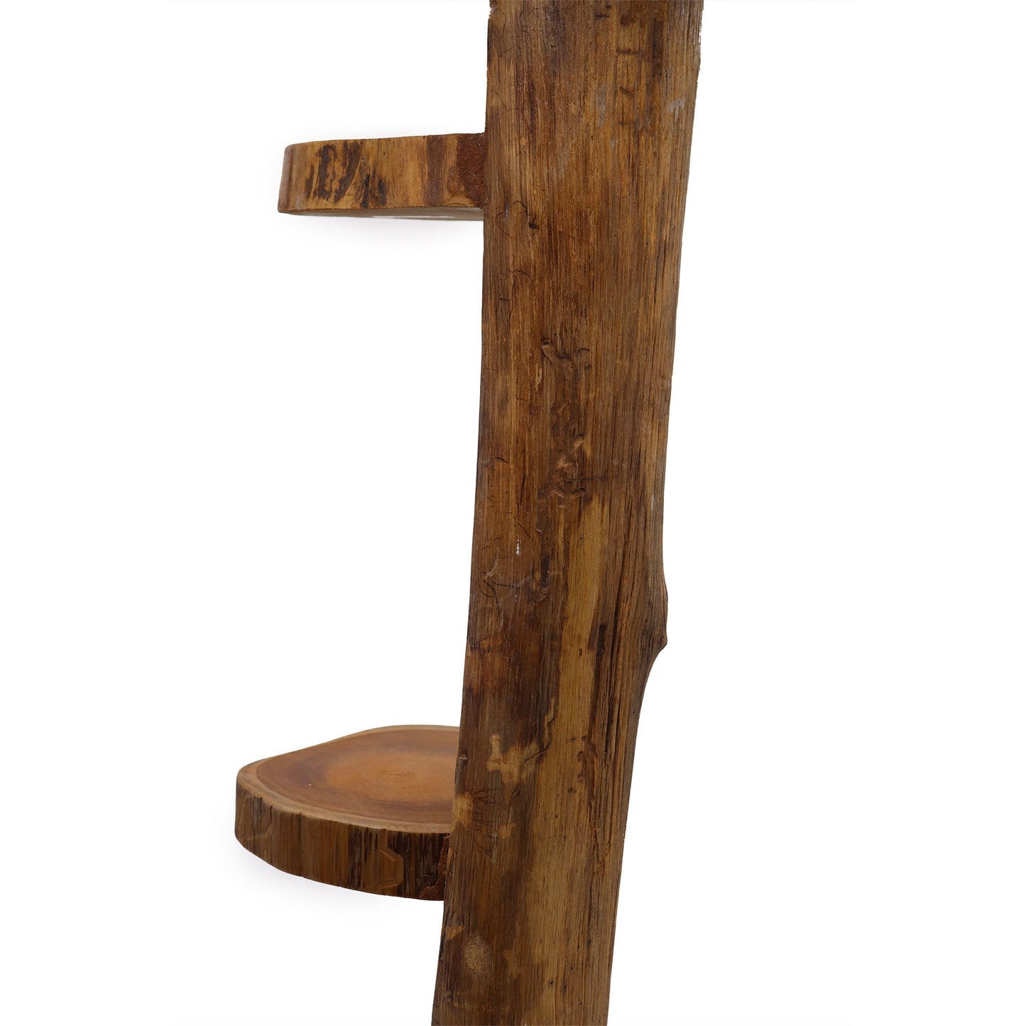 Natural Teak Log Rack Display 3 Shelves 100cm Height