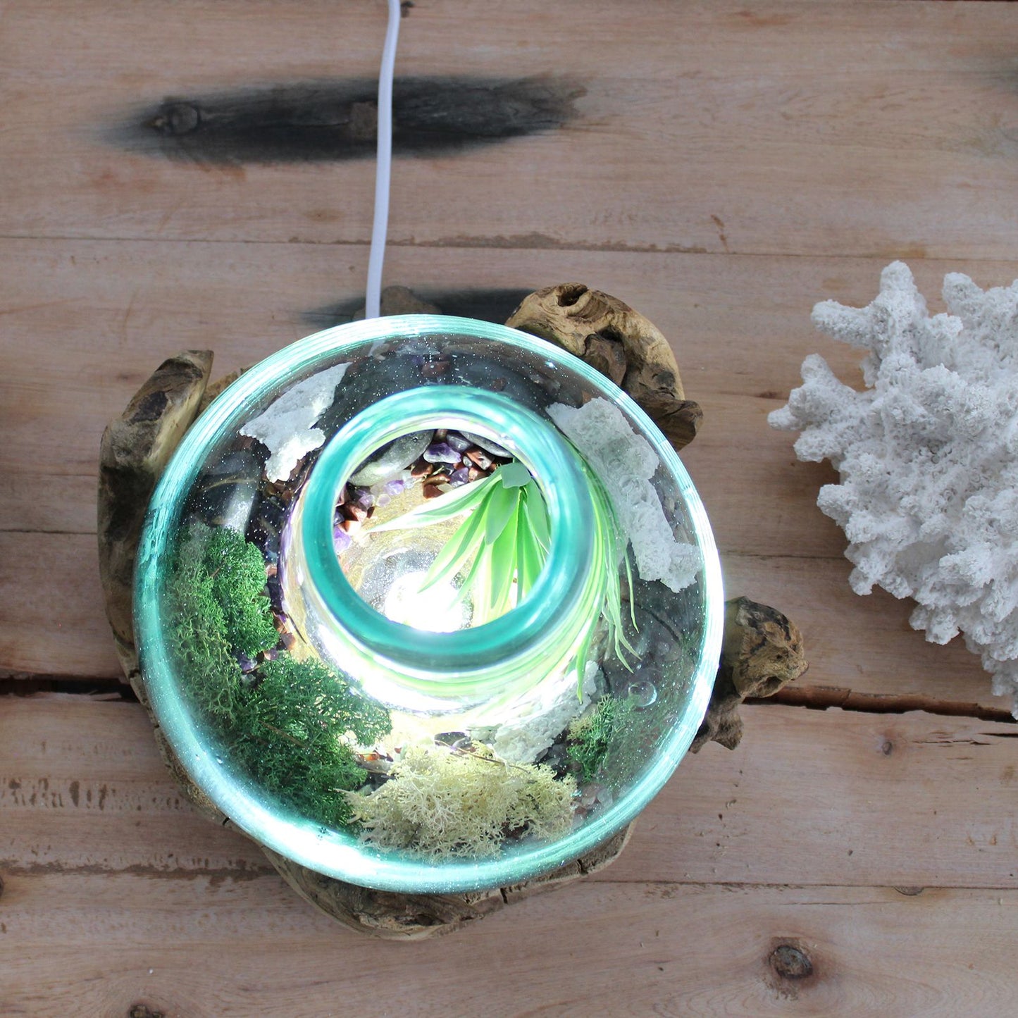 Pecera grande de vidrio fundido - 32cm