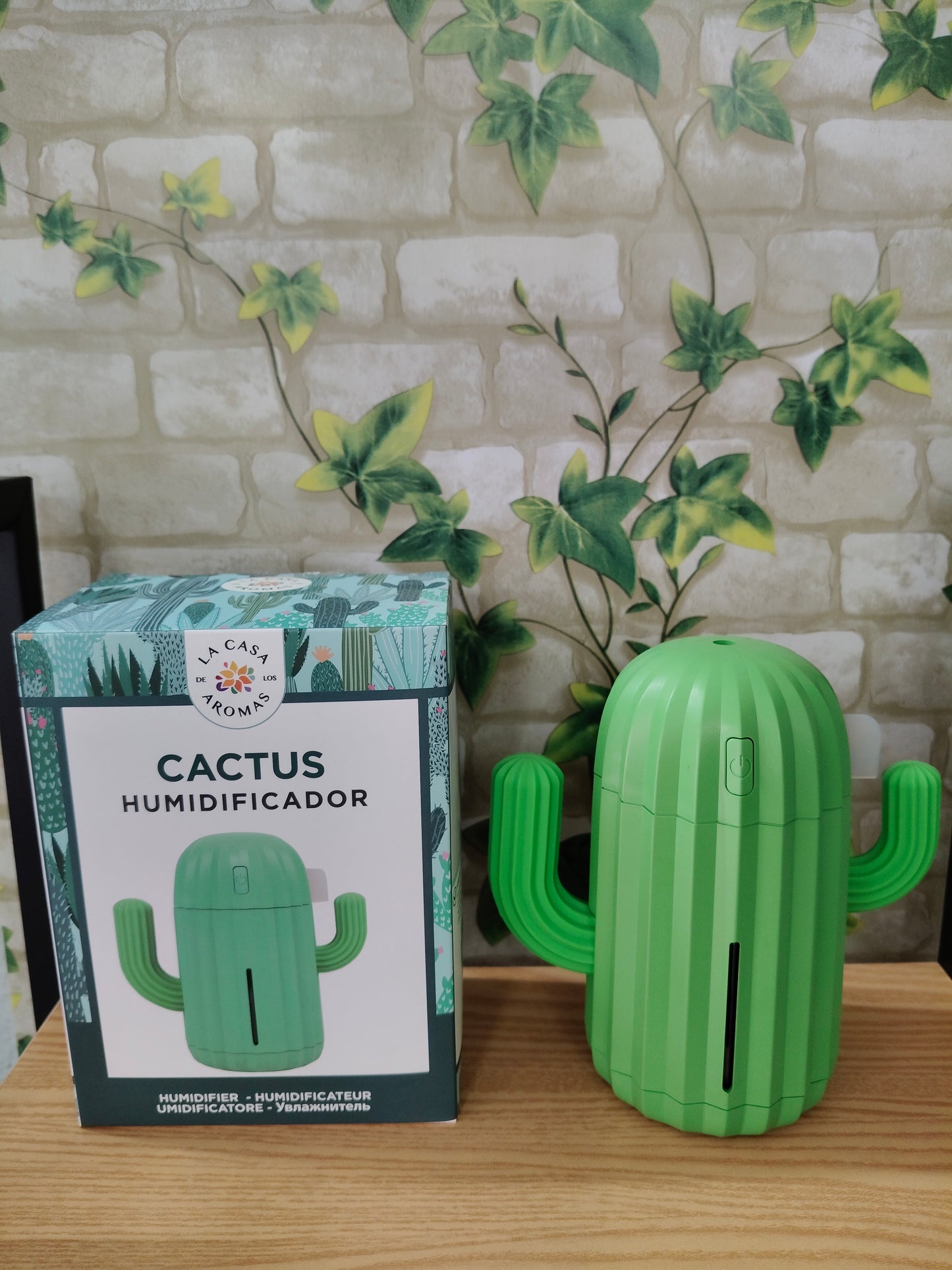 Cactus Humidifier The House of Aromas