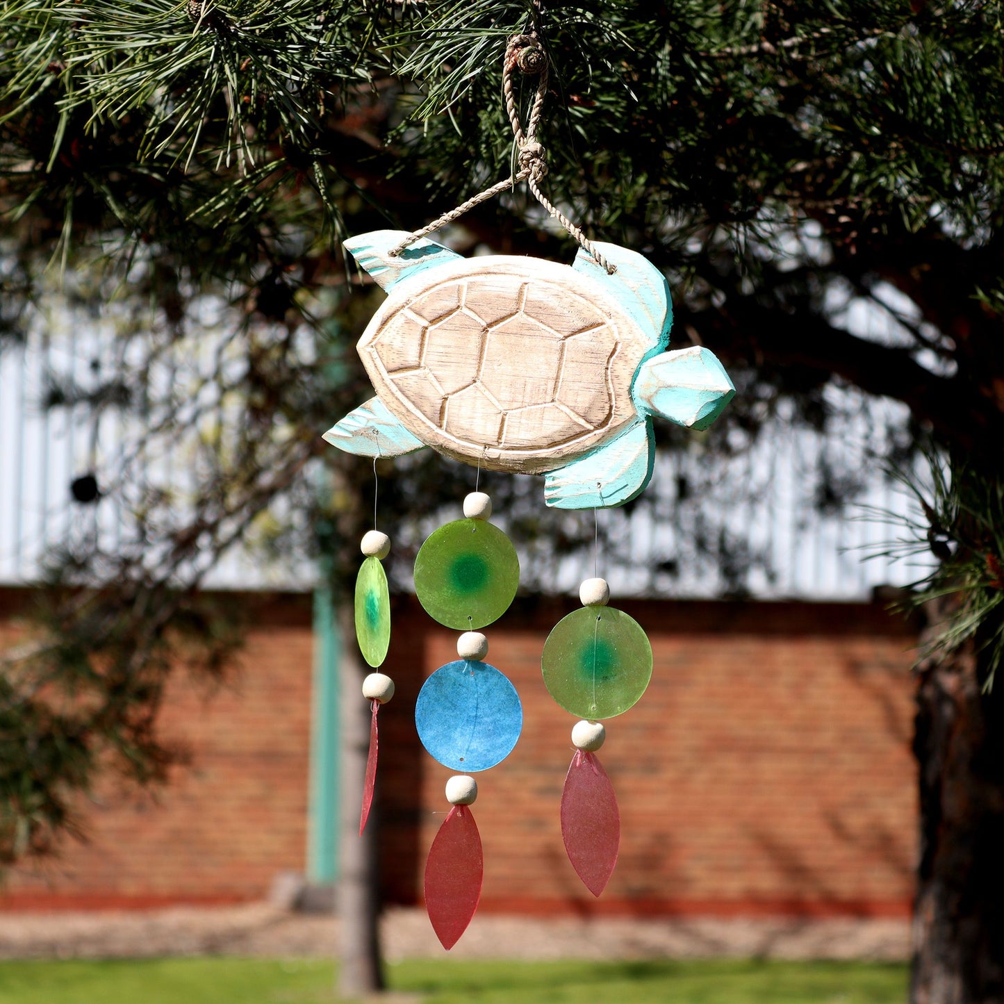 Turtle carving in Aqua and Drop