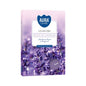 Set of 6 Scented Tea Lights - Lavender
