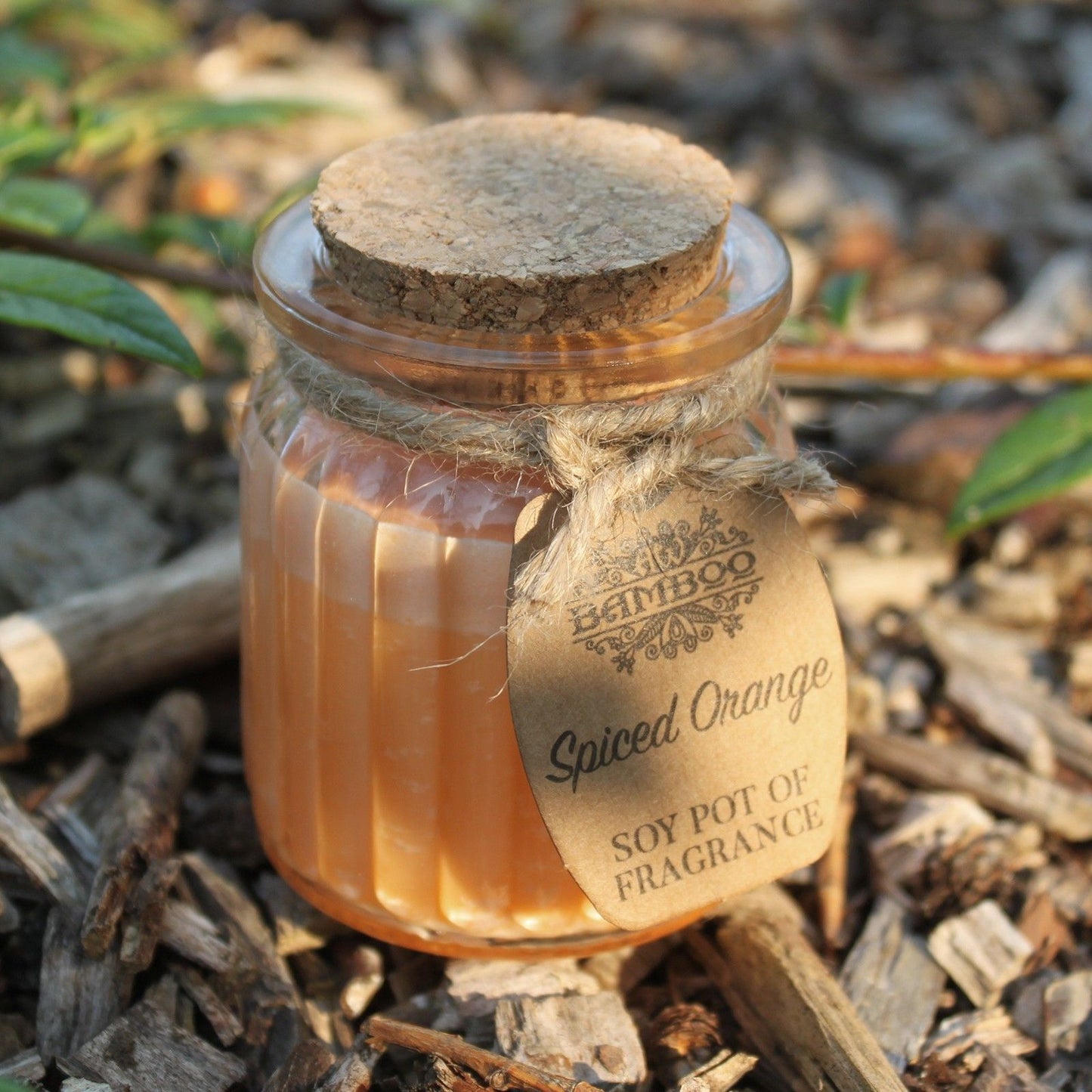 Soy Wax Jar Candle - Spiced Orange