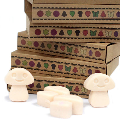 Box of 6 Soy Wax Melts - Nutmeg and Vanilla