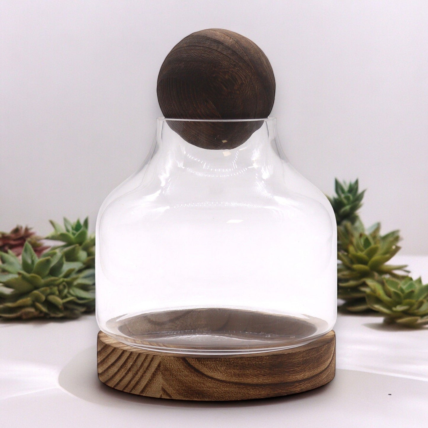 Medium Dark Tung Wood Terrarium with Ball Lid - 17x22cm