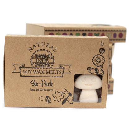 Box of 6 Soy Wax Melts - Nutmeg and Vanilla