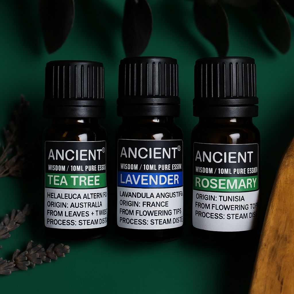 Coffret d'huiles essentielles de lavande, d'arbre à thé et de romarin, 10 ml chacune.