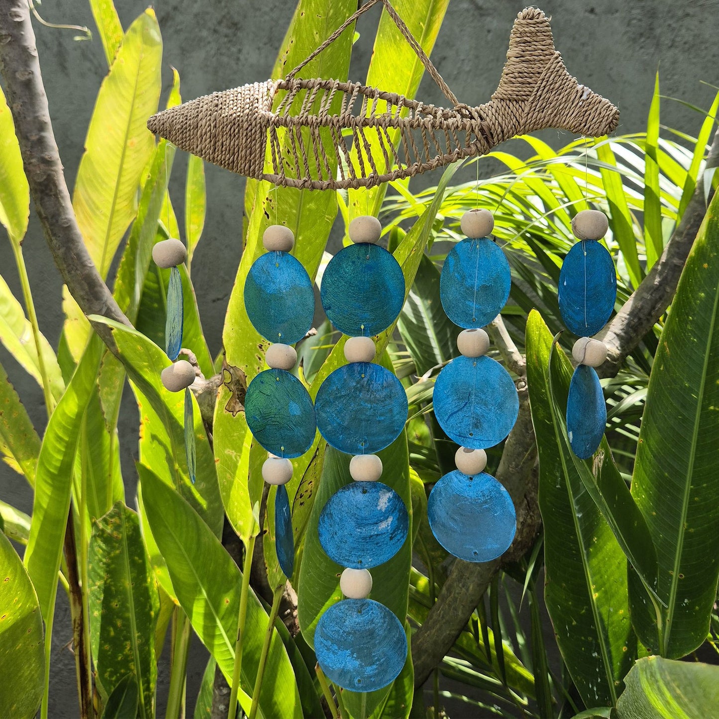 Pez en Cuerda y Gota Azul