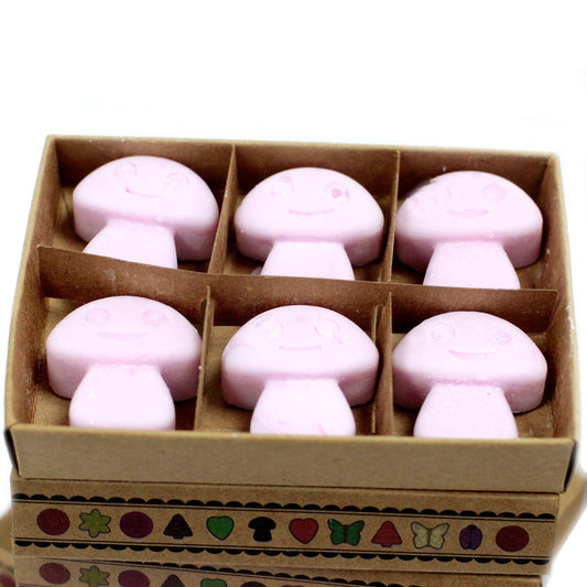 Box of 6 Soy Wax Melts - Ylang Ylang