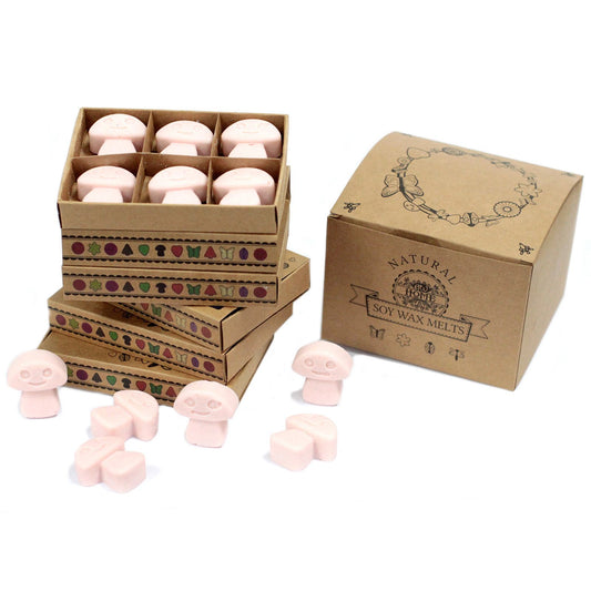 Box of 6 Soy Wax Melts - Sandalwood