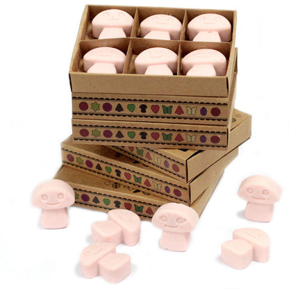 Box of 6 Soy Wax Melts - Sandalwood