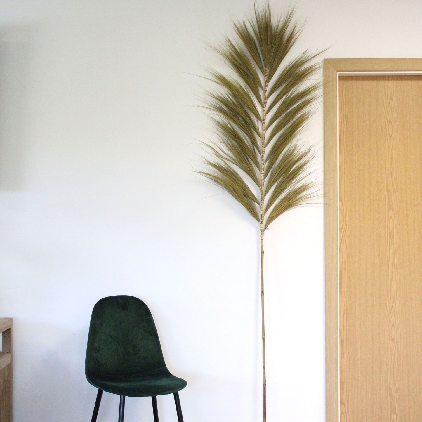 Palmera Natural de Rayung - 2m