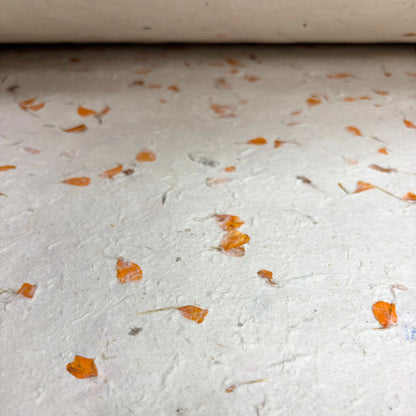 Papier cadeau artisanal Lokta - Calendula
