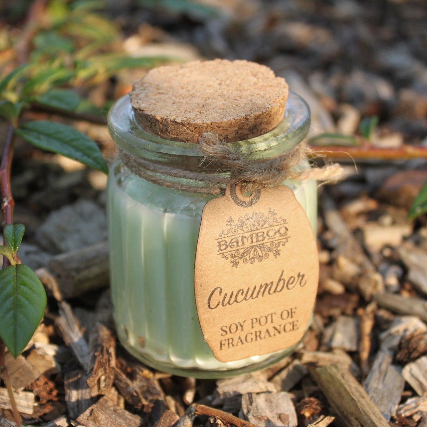 Soy Wax Jar Candle - Cucumber