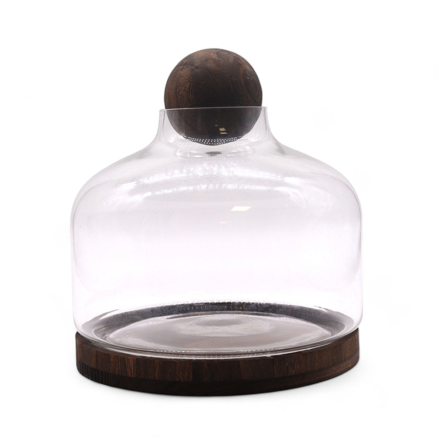 Extra-Large Dark Tung Wood Terrium with Ball Lid - 23x23cm