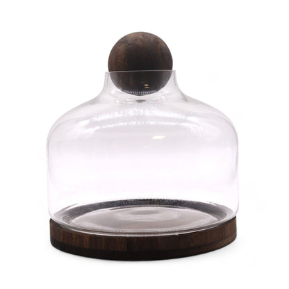 Extra-Large Dark Tung Wood Terrium with Ball Lid - 23x23cm