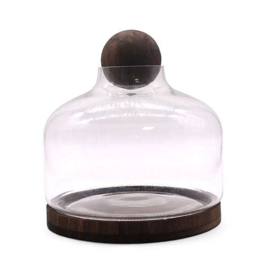 Extra-Large Dark Tung Wood Terrium with Ball Lid - 23x23cm