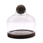 Extra-Large Dark Tung Wood Terrium with Ball Lid - 23x23cm