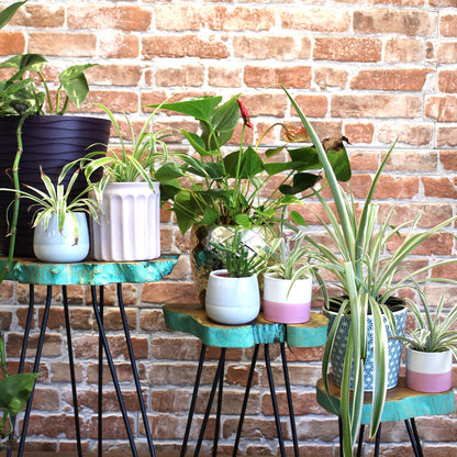 Juego de 3 maceteros de madera Gamell - Greenwash