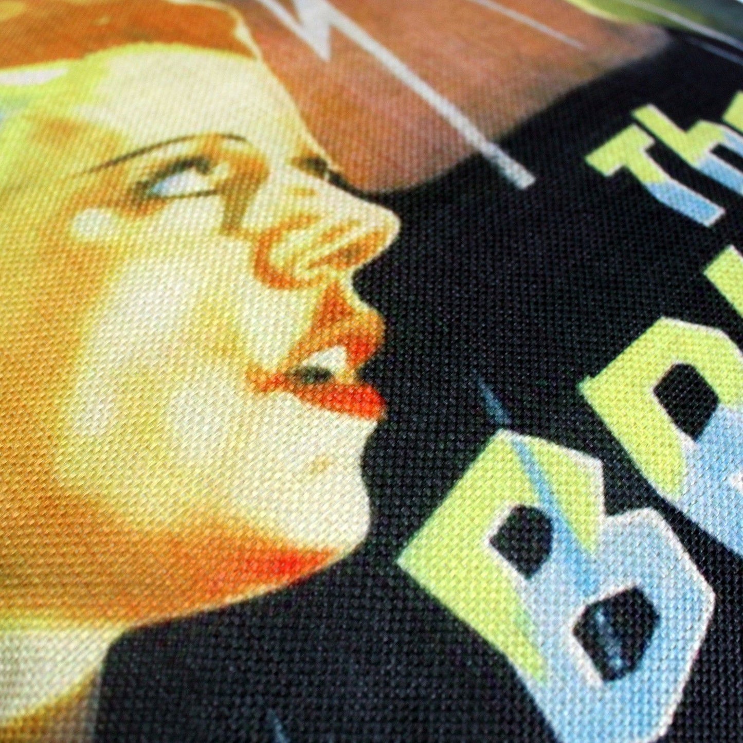 Cushion Cover - The Bride of Frankenstein