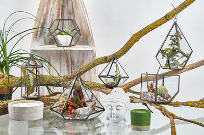 Glass Terrarium - Little Diamond