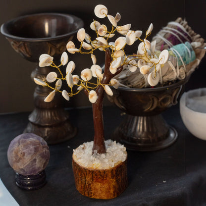 Gomati Chakra Stone Trees Large Circle - (60 stones)