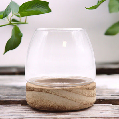 Small Terarium in Natural Tung Wood - 10x10cm