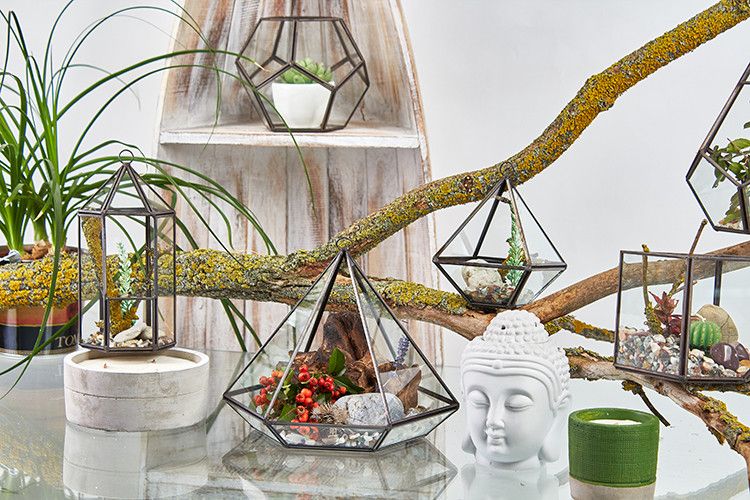 Glass Terrarium - Little Diamond