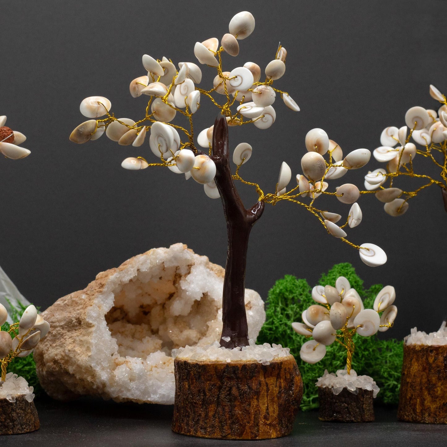 Gomati Chakra Stone Trees Large Circle - (60 stones)