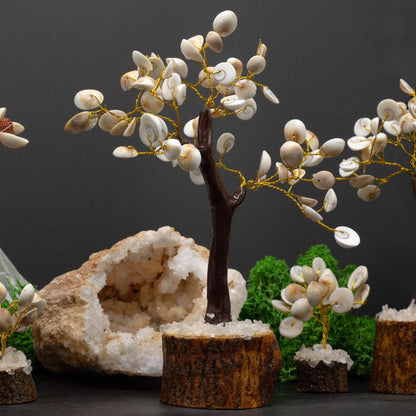 Gomati Chakra Stone Trees Large Circle - (60 stones)