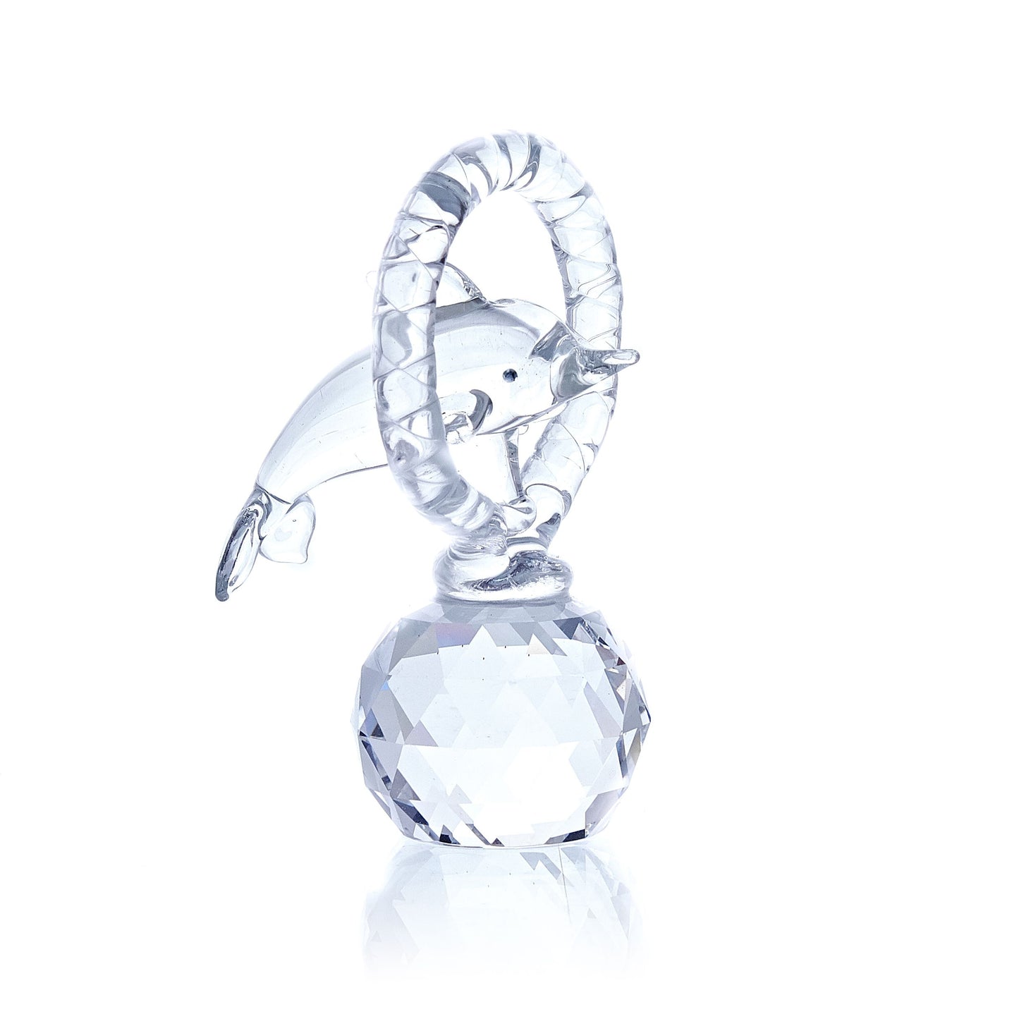 Delfín Saltando a Través del Aro (pequeño)