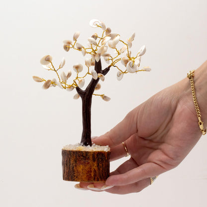 Gomati Chakra Stone Trees Large Circle - (60 stones)