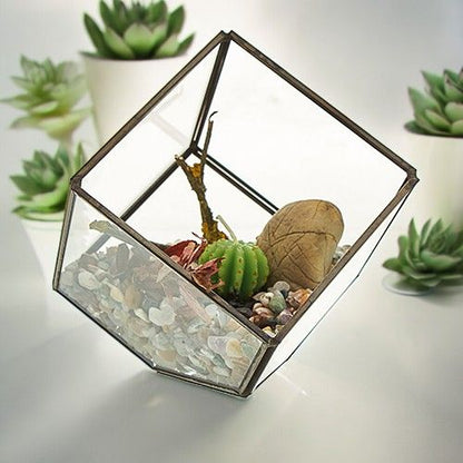 Glass Terrarium - Cube in the Corner