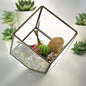 Glass Terrarium - Cube in the Corner