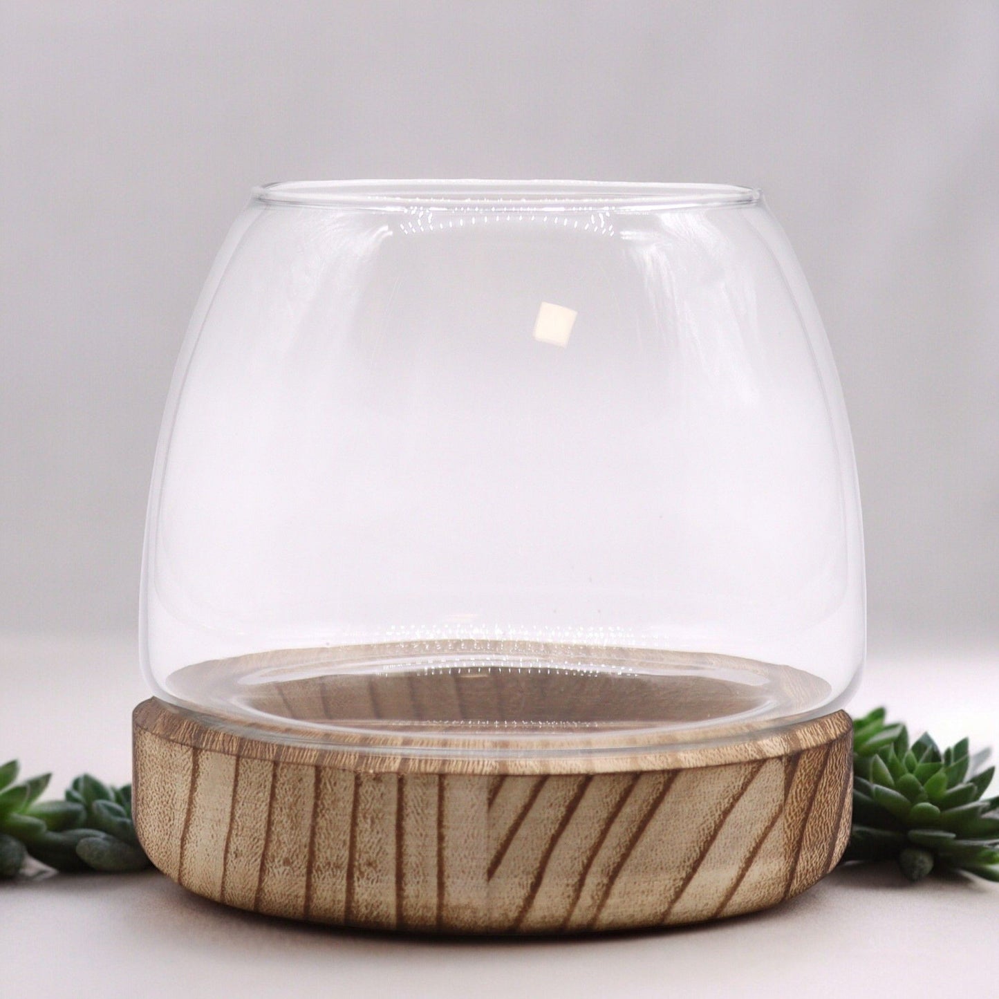 Small Terarium in Natural Tung Wood - 13x13cm