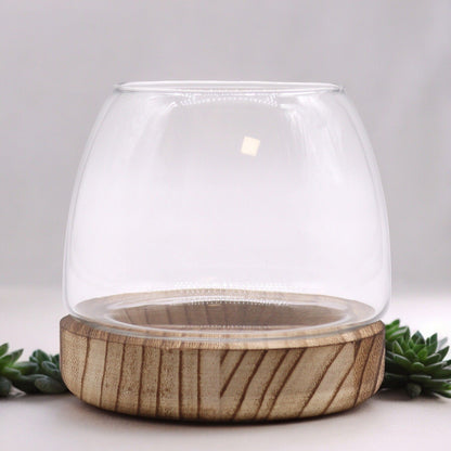 Small Terarium in Natural Tung Wood - 13x13cm