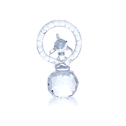 Delfín Saltando a Través del Aro (pequeño)