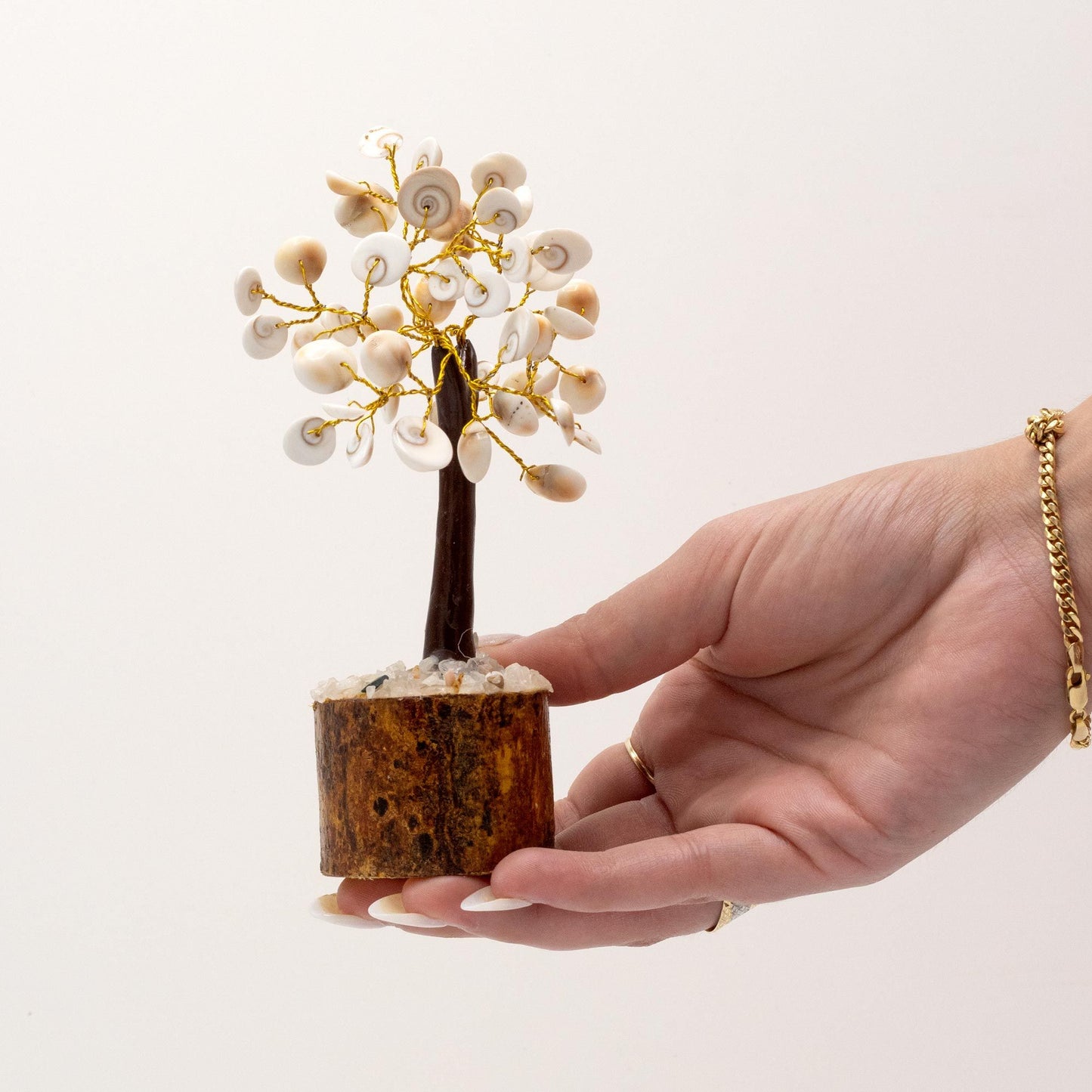 Gomati Chakra Stone Trees Medium Circle - (45 stones)