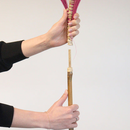 Palmera Coral de Rayung - 1.6m