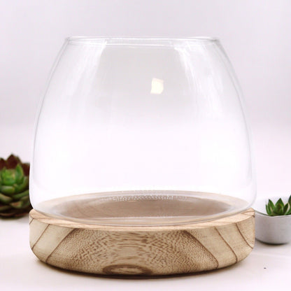 Small Terarium in Natural Tung Wood - 15x15cm