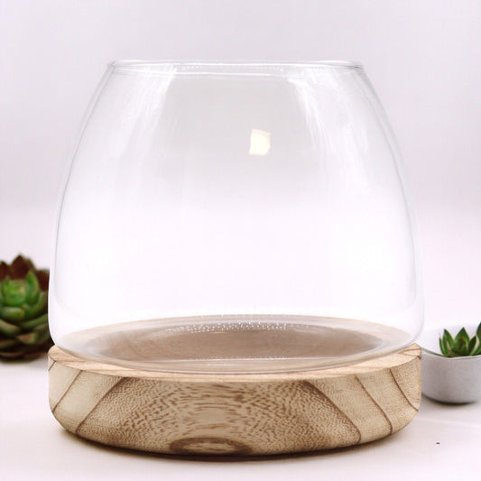 Small Terarium in Natural Tung Wood - 15x15cm