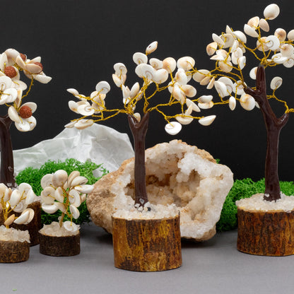 Gomati Chakra Stone Trees Medium Circle - (45 stones)