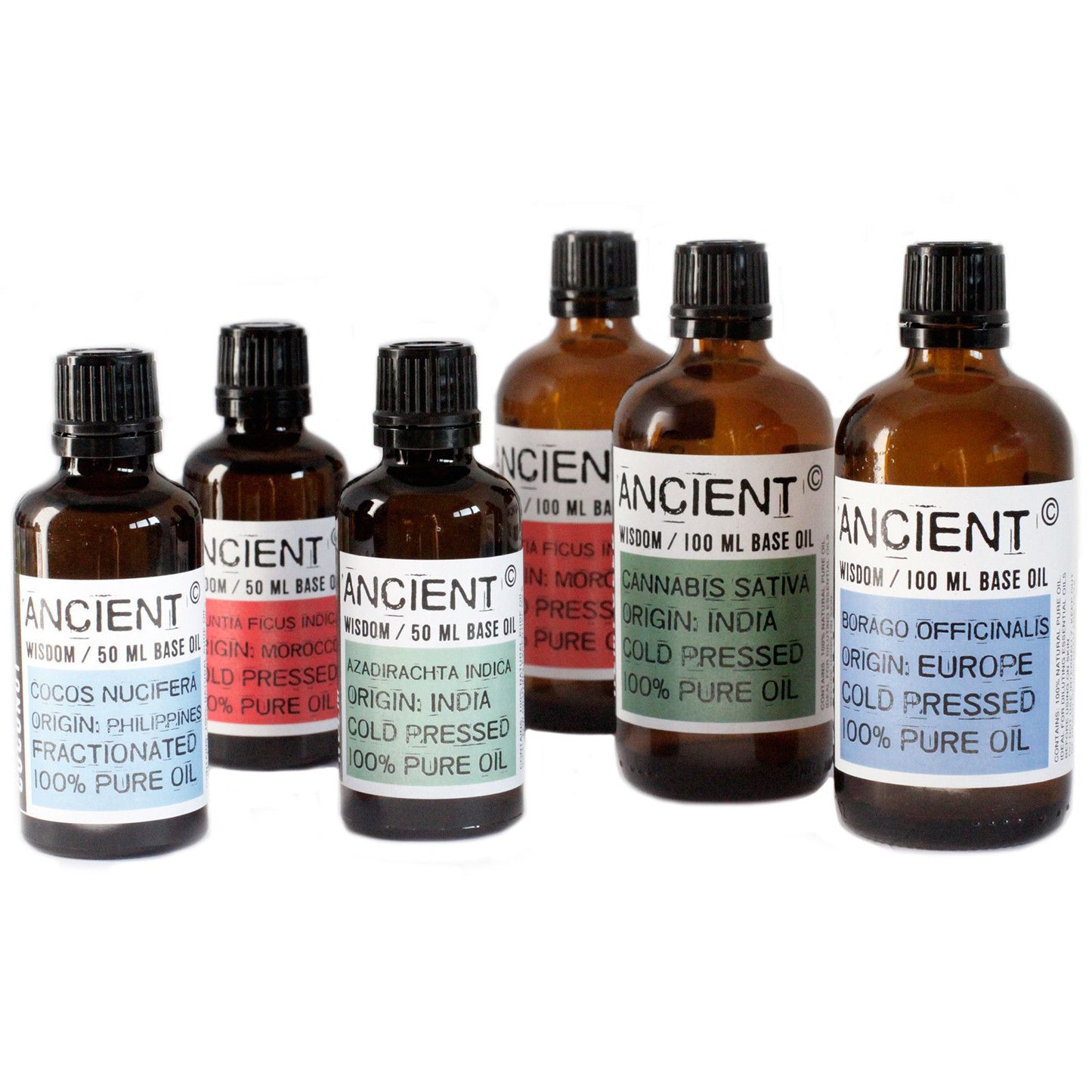 Base Oil 50ml - Olive