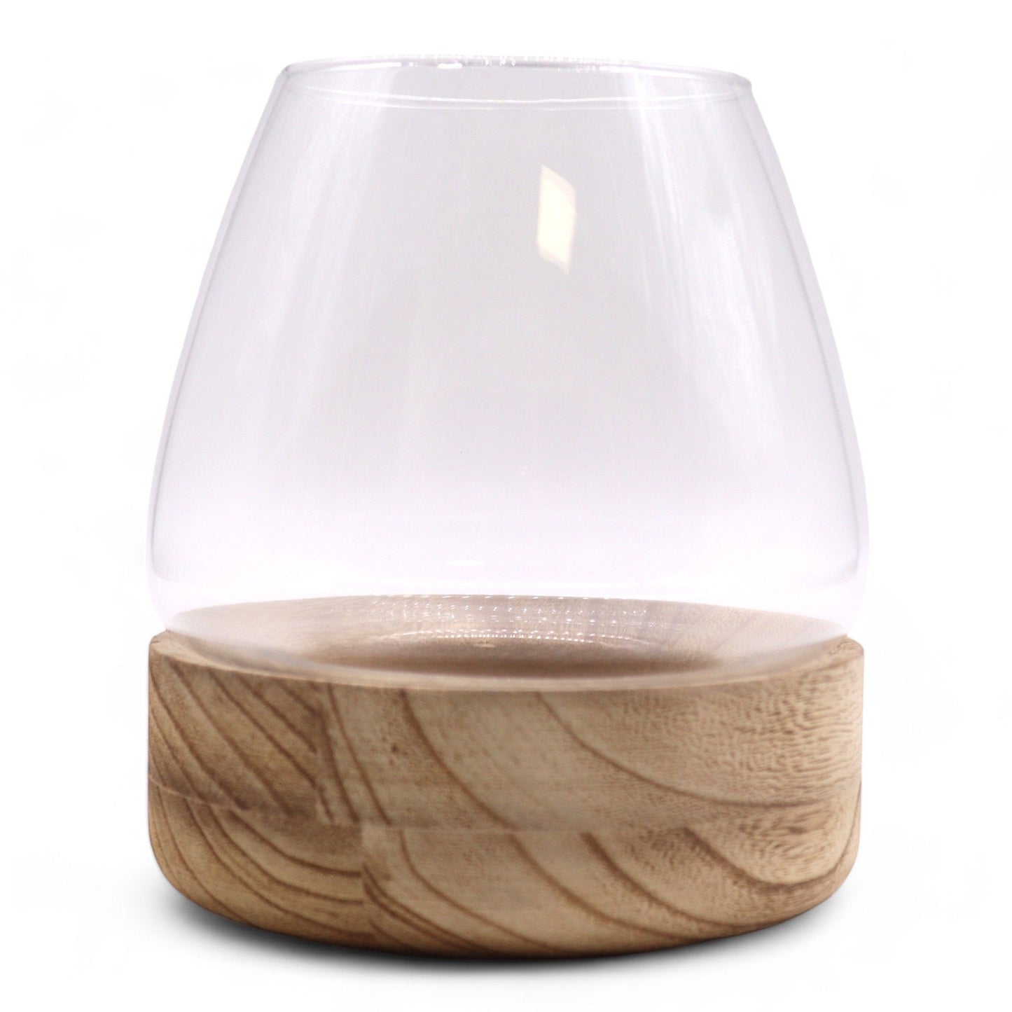 Large Terarium in Natural Tung Wood - 17x19cm