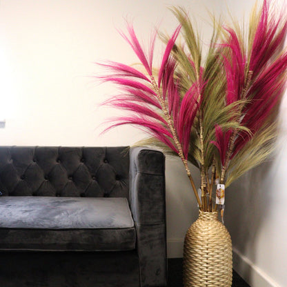 Palmera Rubia de Rayung - 1.6m