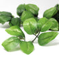 Plastic sheets, approx. 60 pieces (110 g)