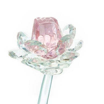Crystal Rose - Rose